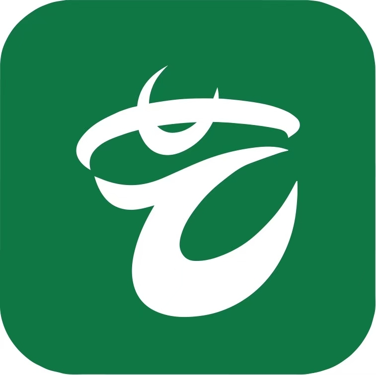 Arte Frame Logo